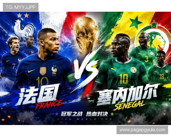 世界杯法国塞内加尔比赛精彩进球集锦分析,带你回顾每个关键瞬间 世界杯法国塞内加尔比赛精彩进球集锦分析,带你回顾每个关键瞬间